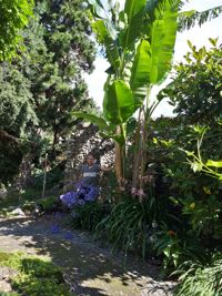 engeland-2017-005